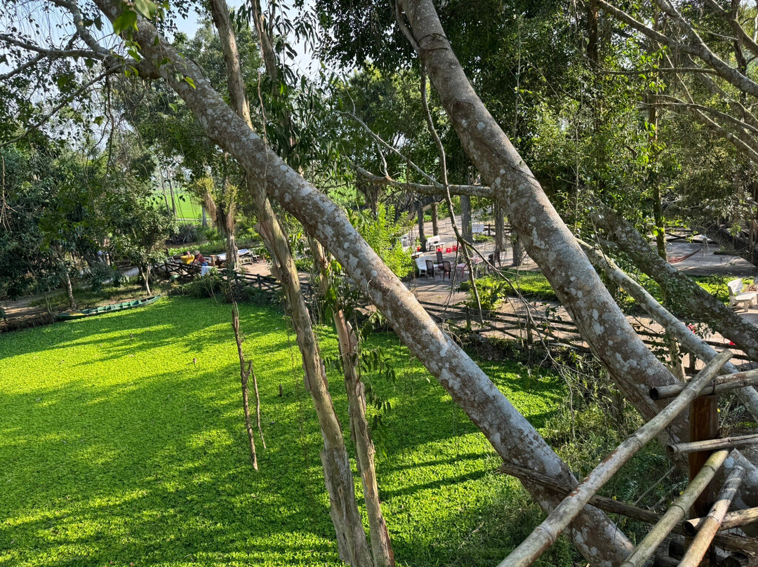 Khu Du Lịch Mùa Xuân-Nga Bay必去景点