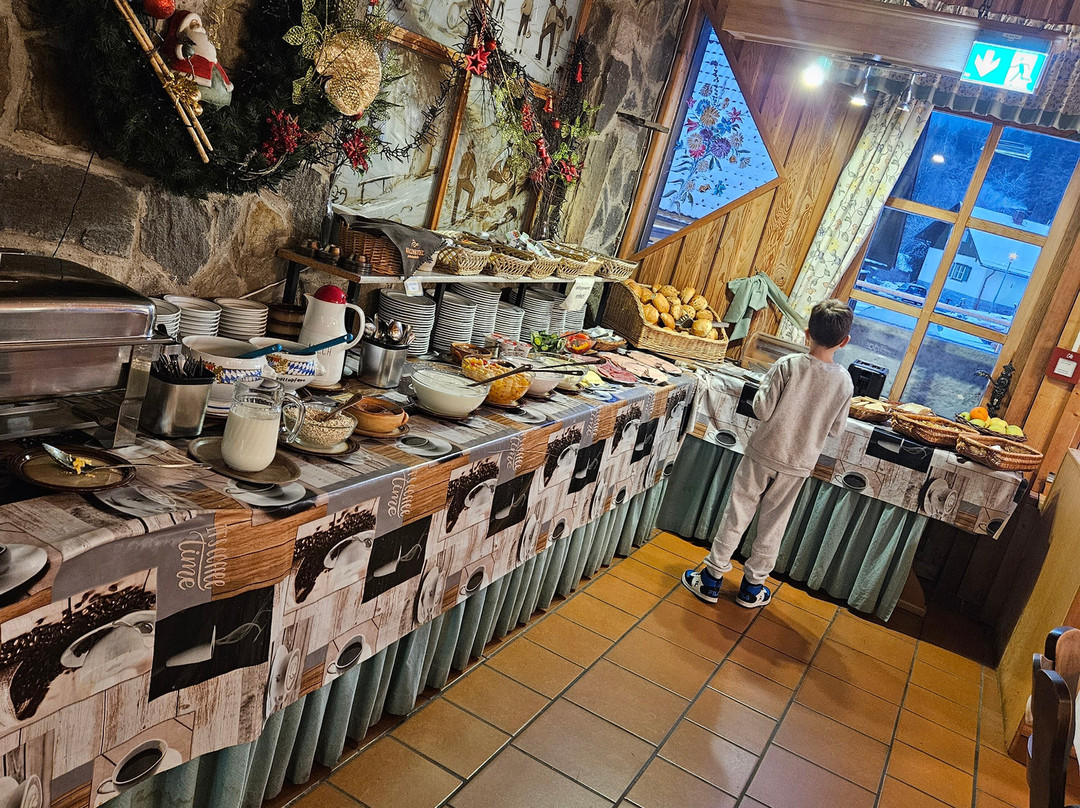 Waldhotel Seebachschleife主图