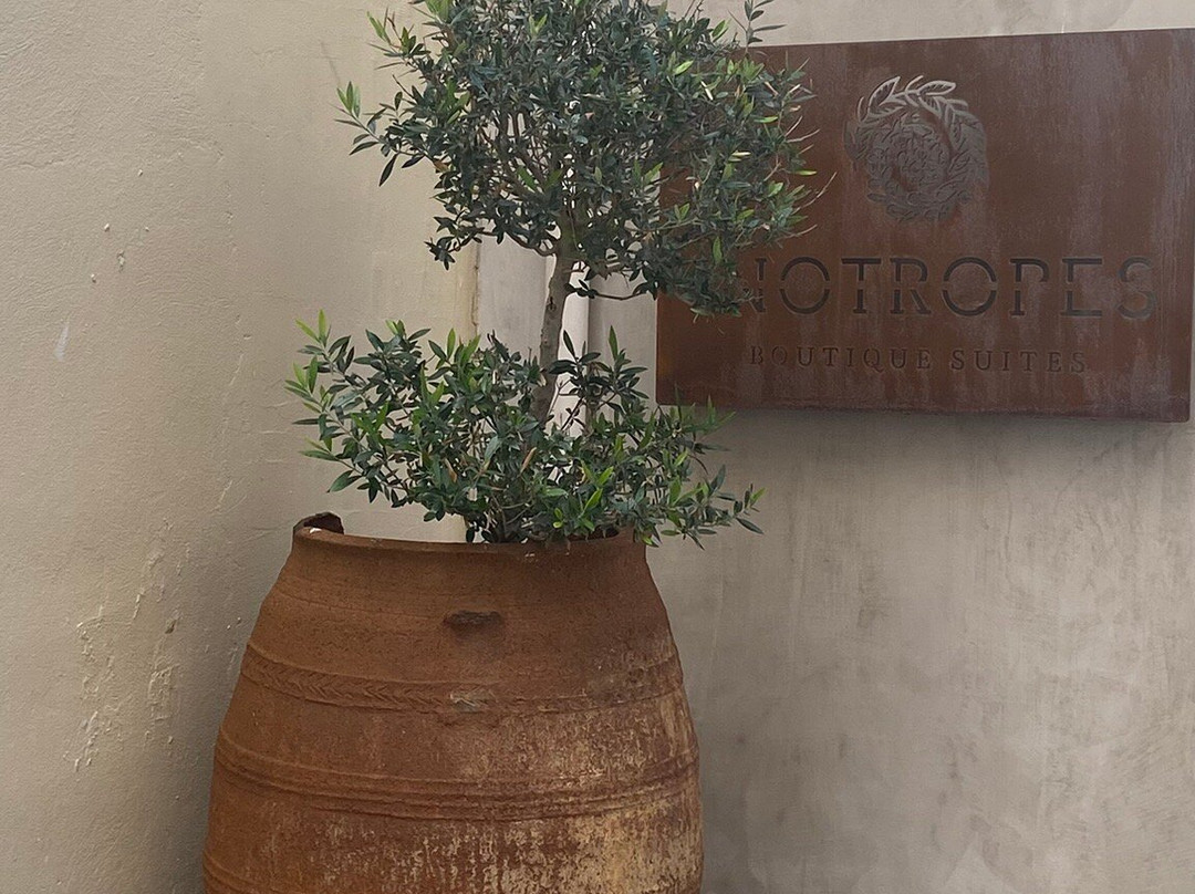 Inotropes Boutique Suites主图