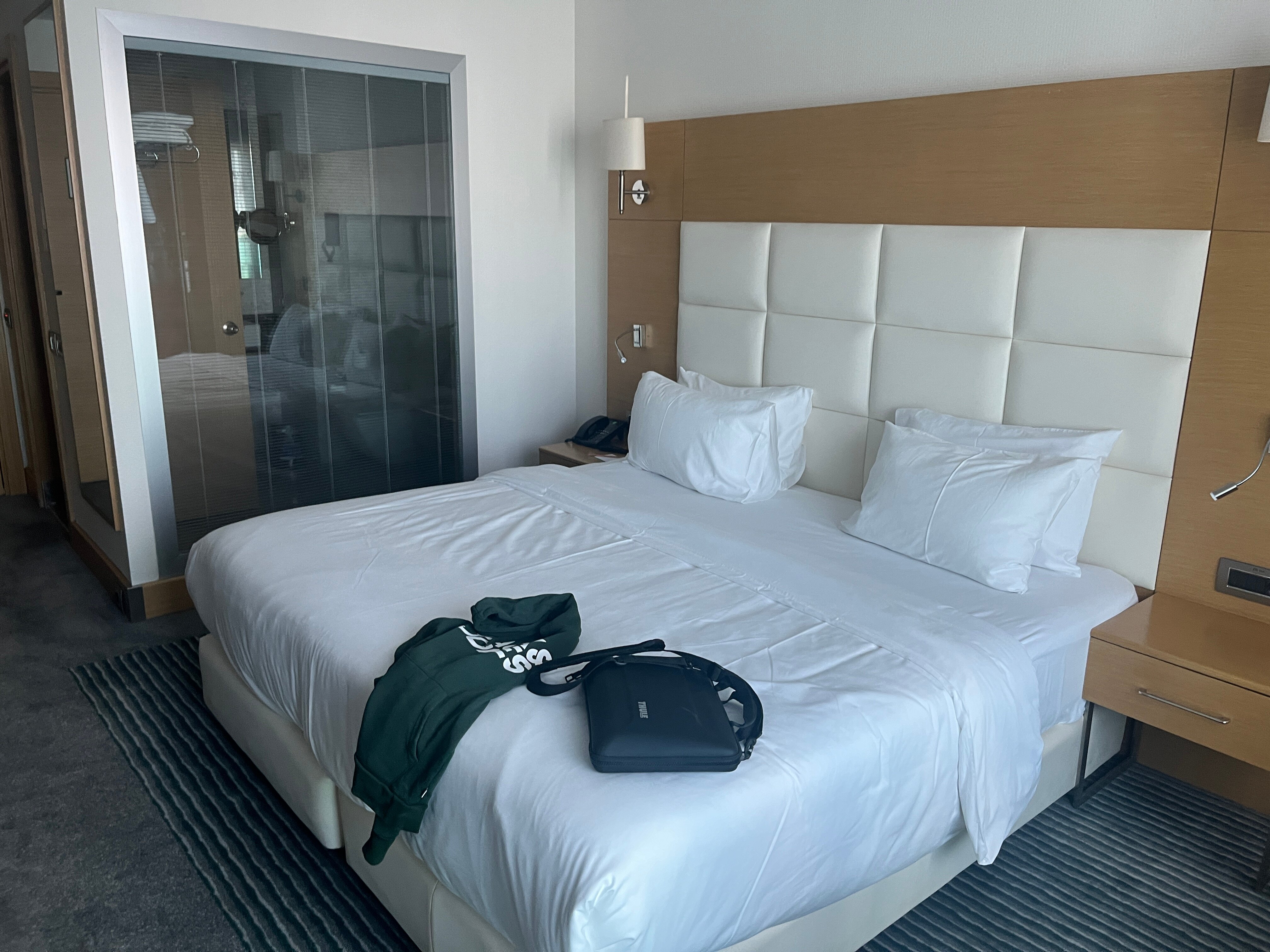 Holiday Inn Ankara - Cukurambar , an IHG hotel-客卧