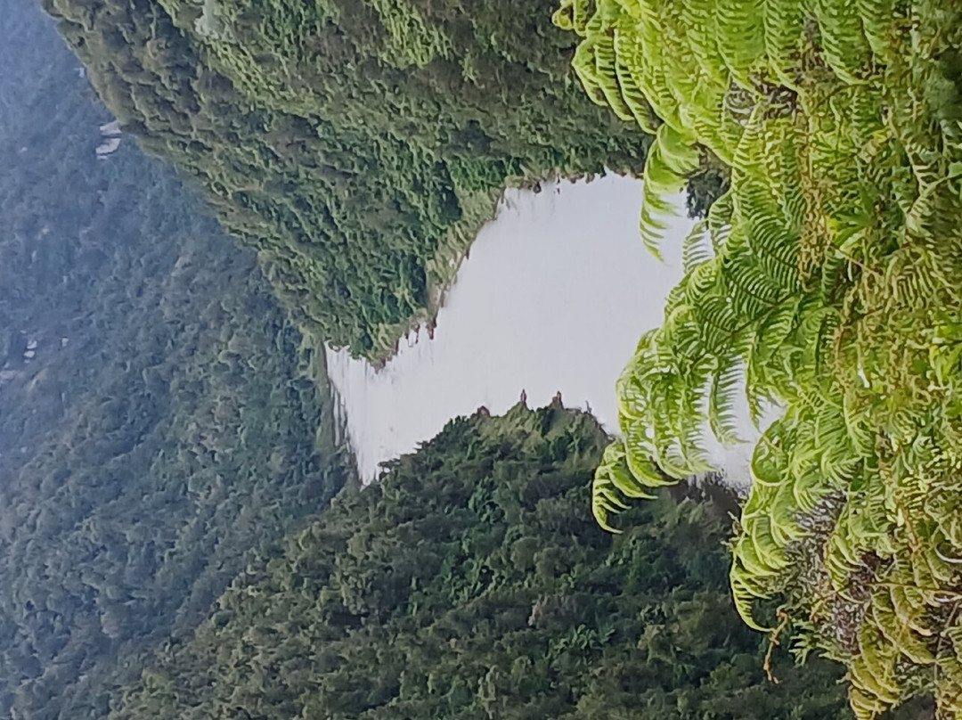 Owhango Adventures景点图片