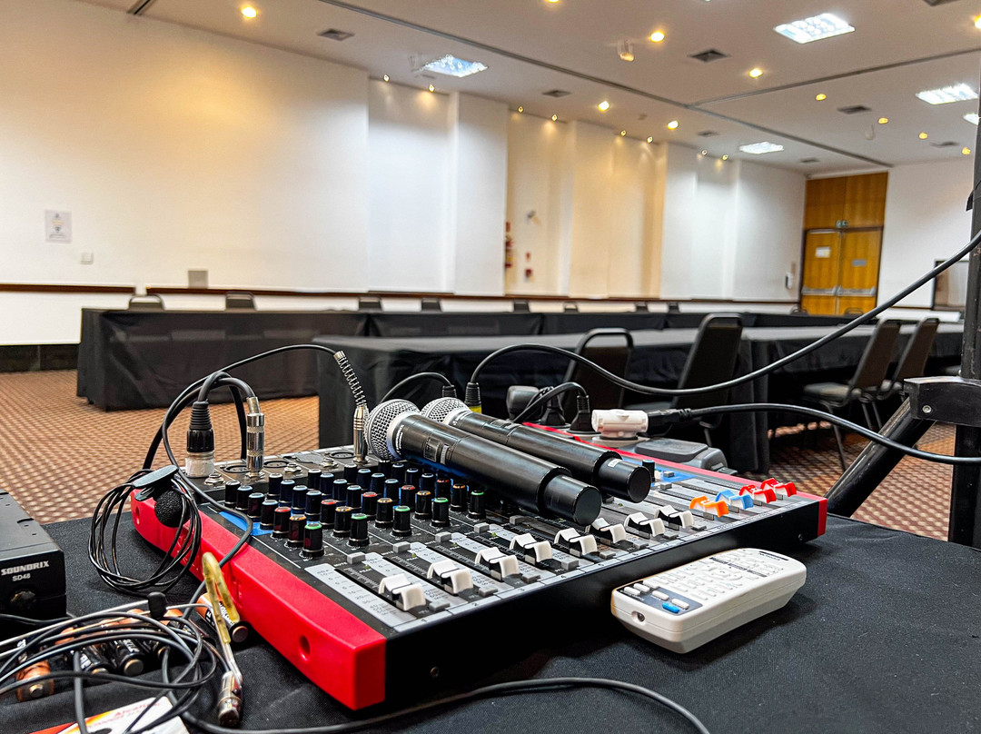 皇家金酒店主图