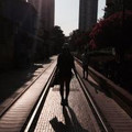 thetravelinguu