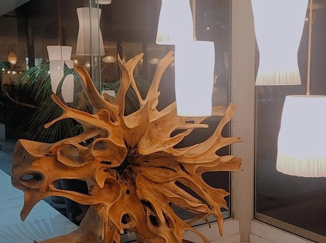 Alto de la Ballena-埃斯特角城必去景点