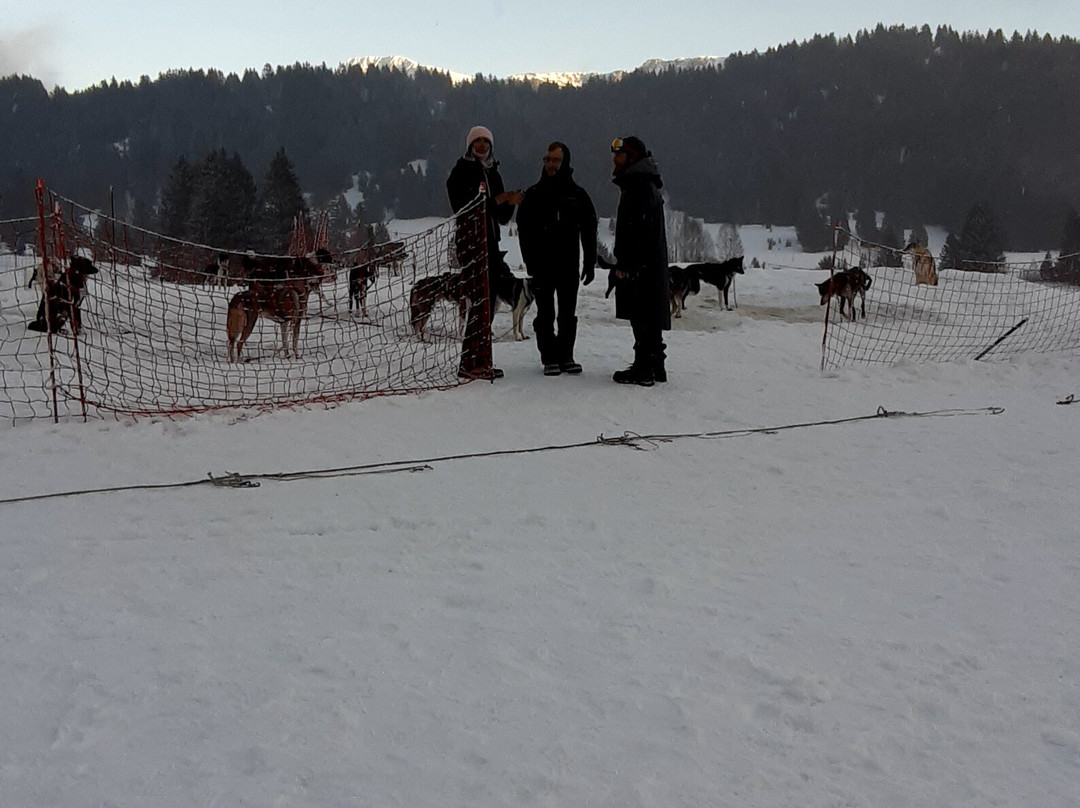 Chiens De Traîneaux Chamrousse-尚鲁斯必去景点