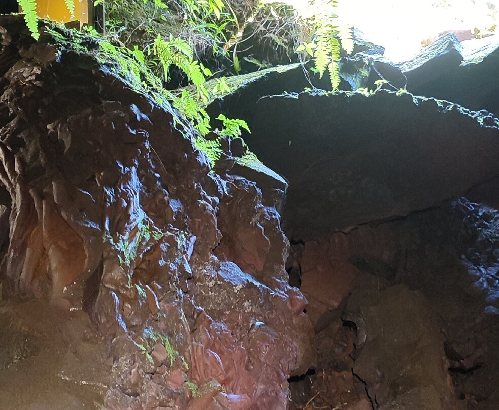 Tunnels de lave Réunion: Volcanorun景点图片