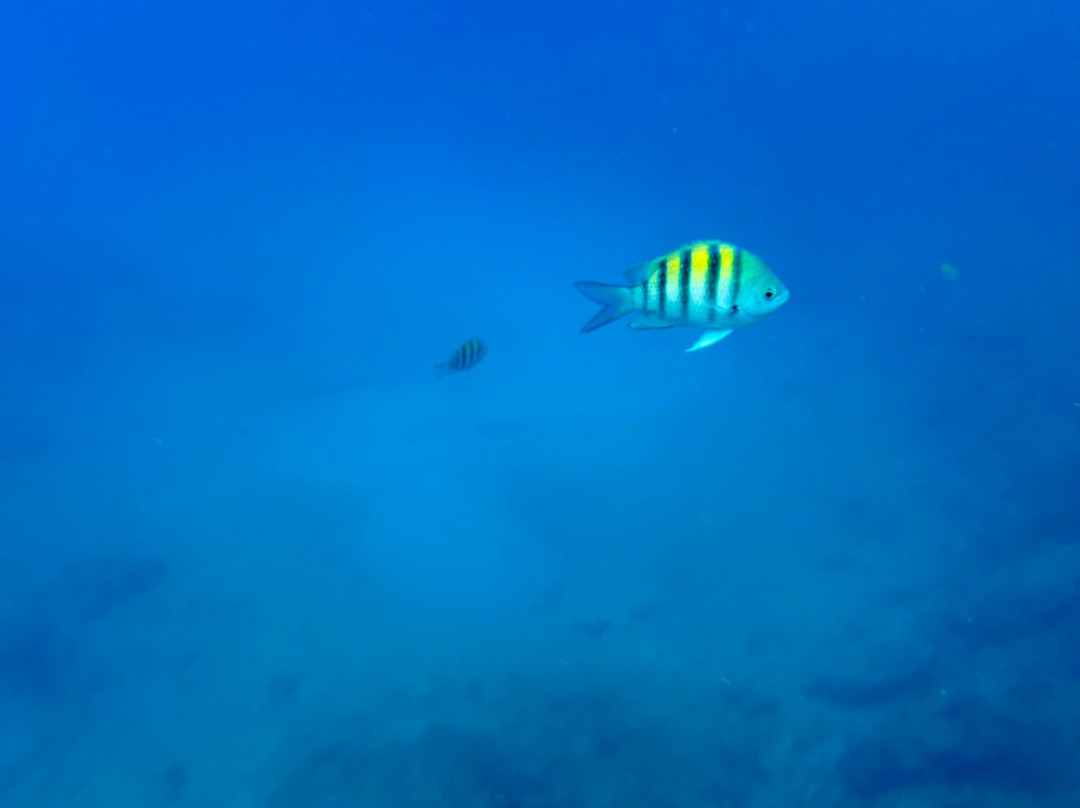 West View-圣安德烈斯岛必去景点