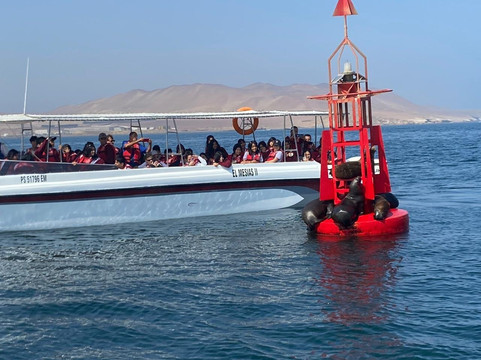 Paracas Sights & Tours-帕拉卡斯必去景点