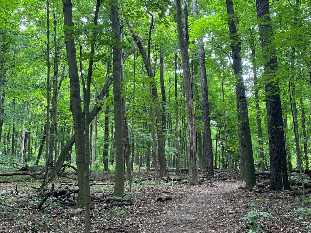 Gorman Nature Center景点图片