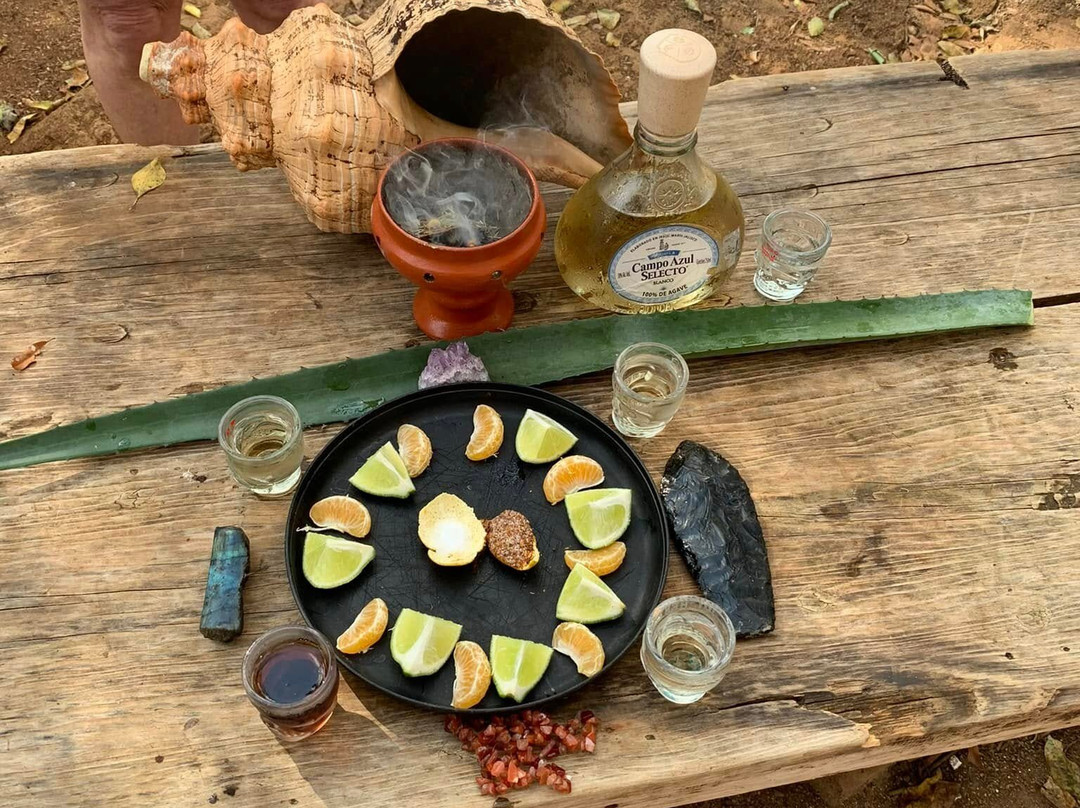 Tours by Russel Progreso yucatan-Chelem必去景点