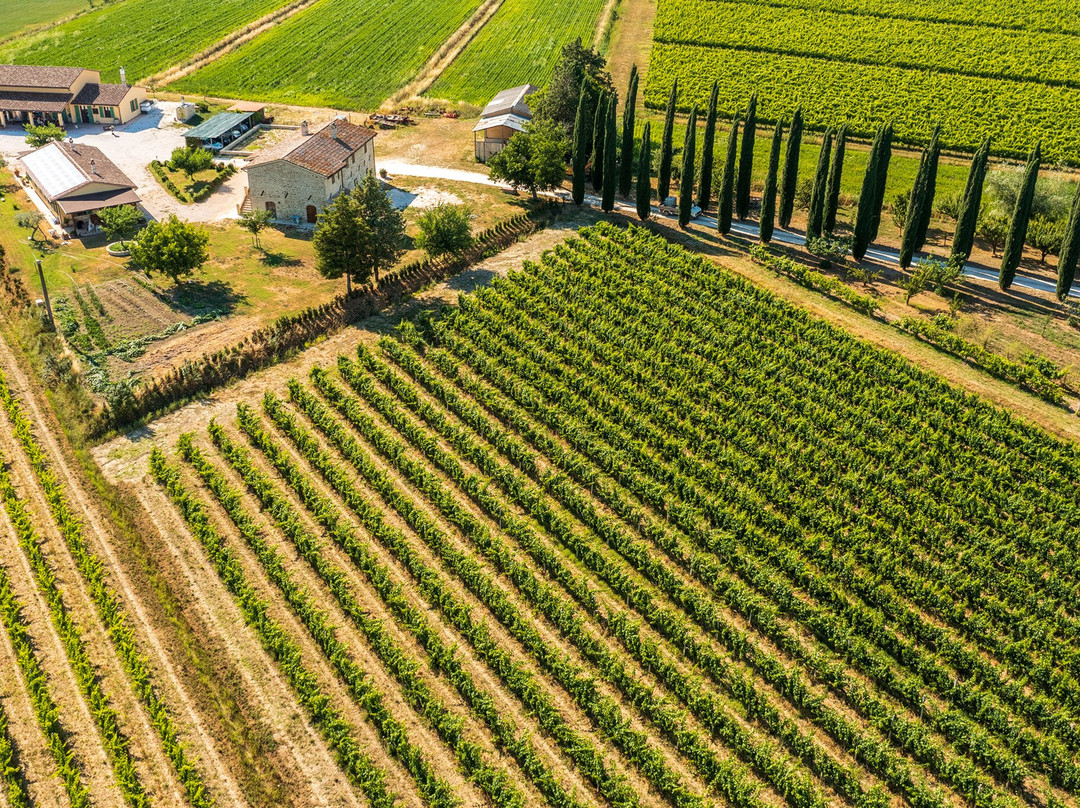 Cantina La Fonte
