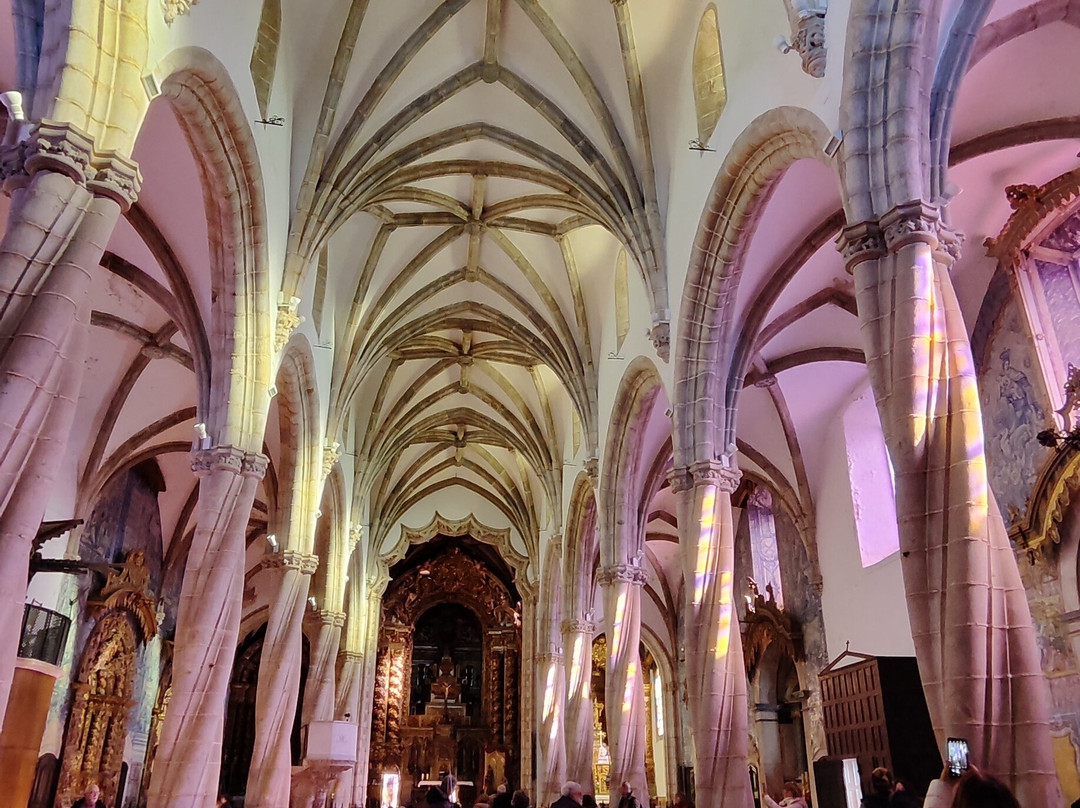 Iglesia Santa Maria Magdalena-Olivenza必去景点