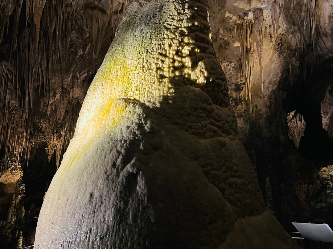 Big Room-卡尔斯巴德洞穴国家公园必去景点