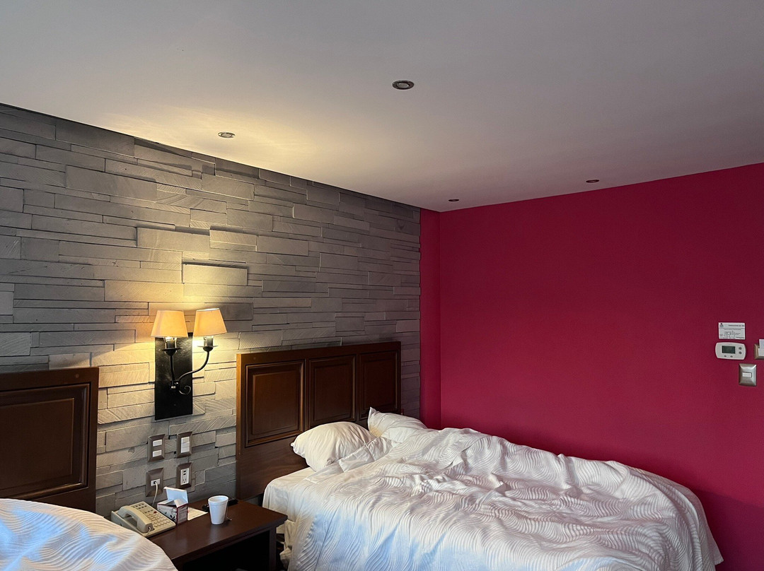 Alameda Centro Historico Hotel主图