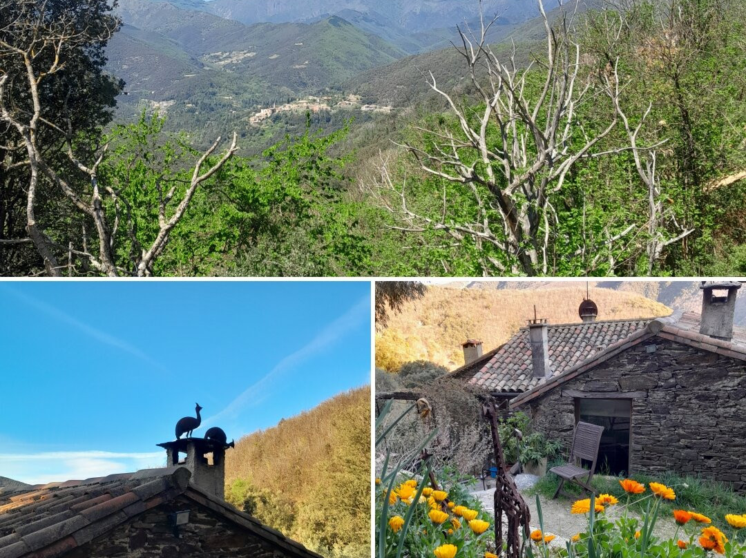 Le Cottage Du Mas De Goutanière