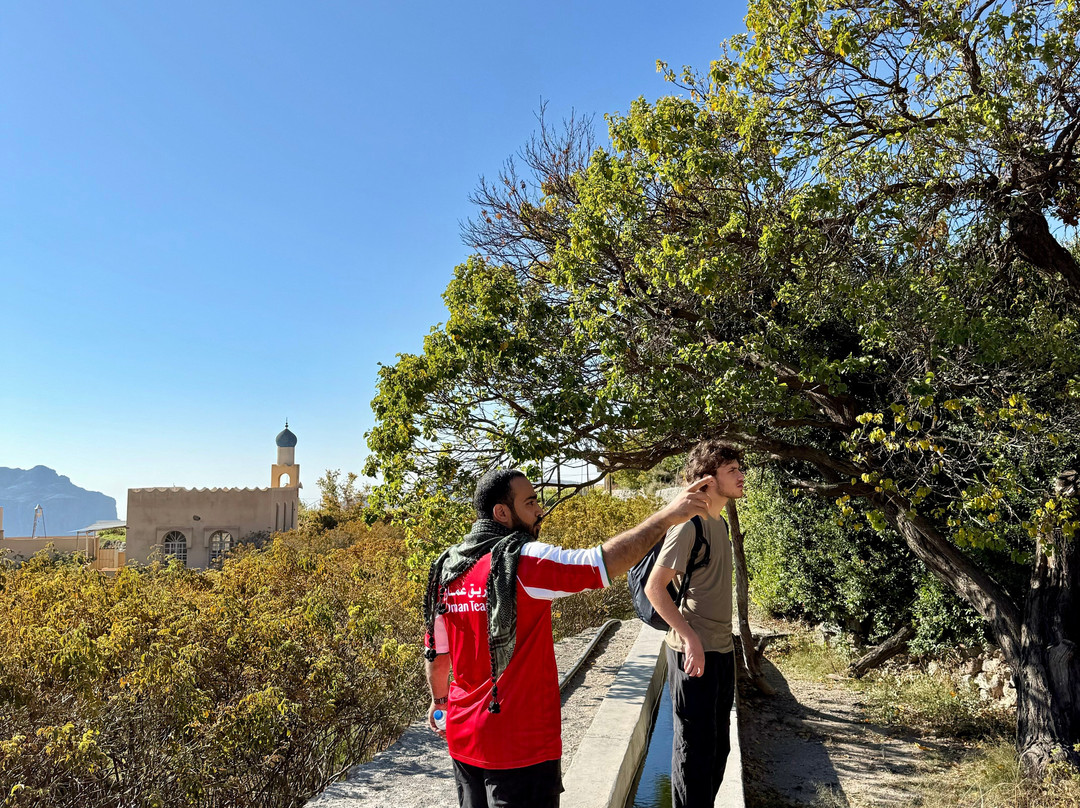 TripperOman-Wadi Bani Awf必去景点