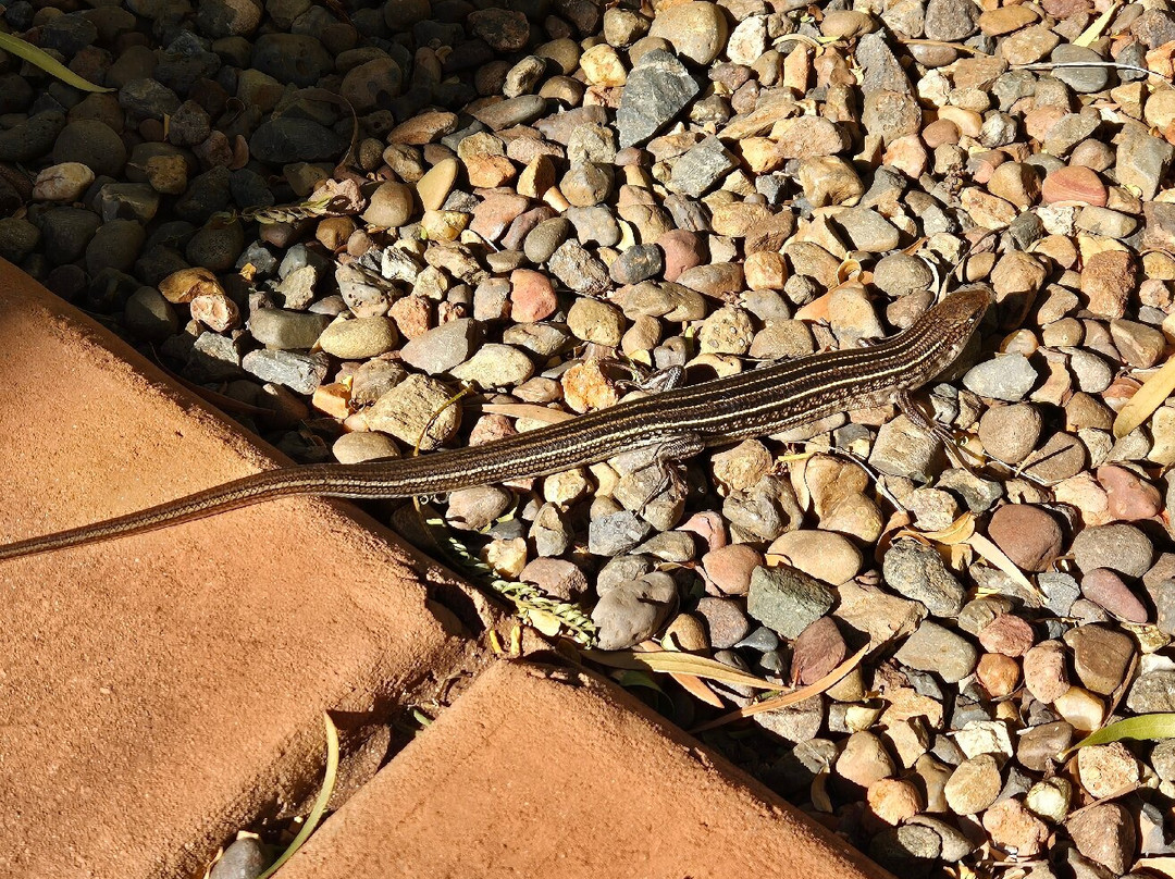 Best Western Plus The Ranges Karratha主图