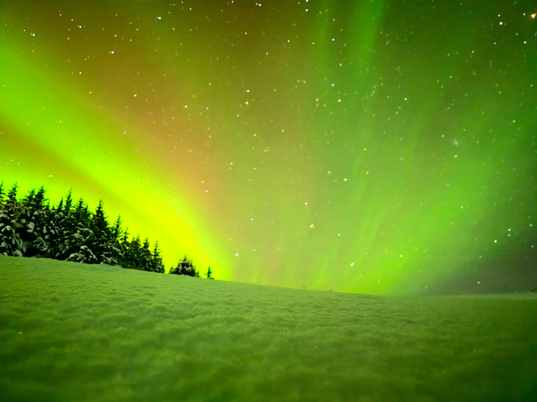 Buubble Tours-雷克雅未克必去景点