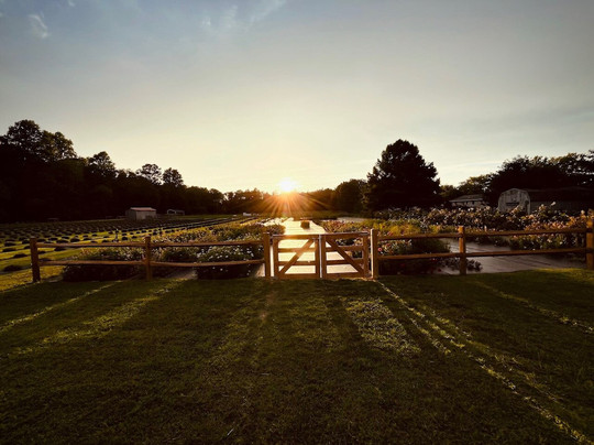 Abbotts & Oak Farms-Milford必去景点