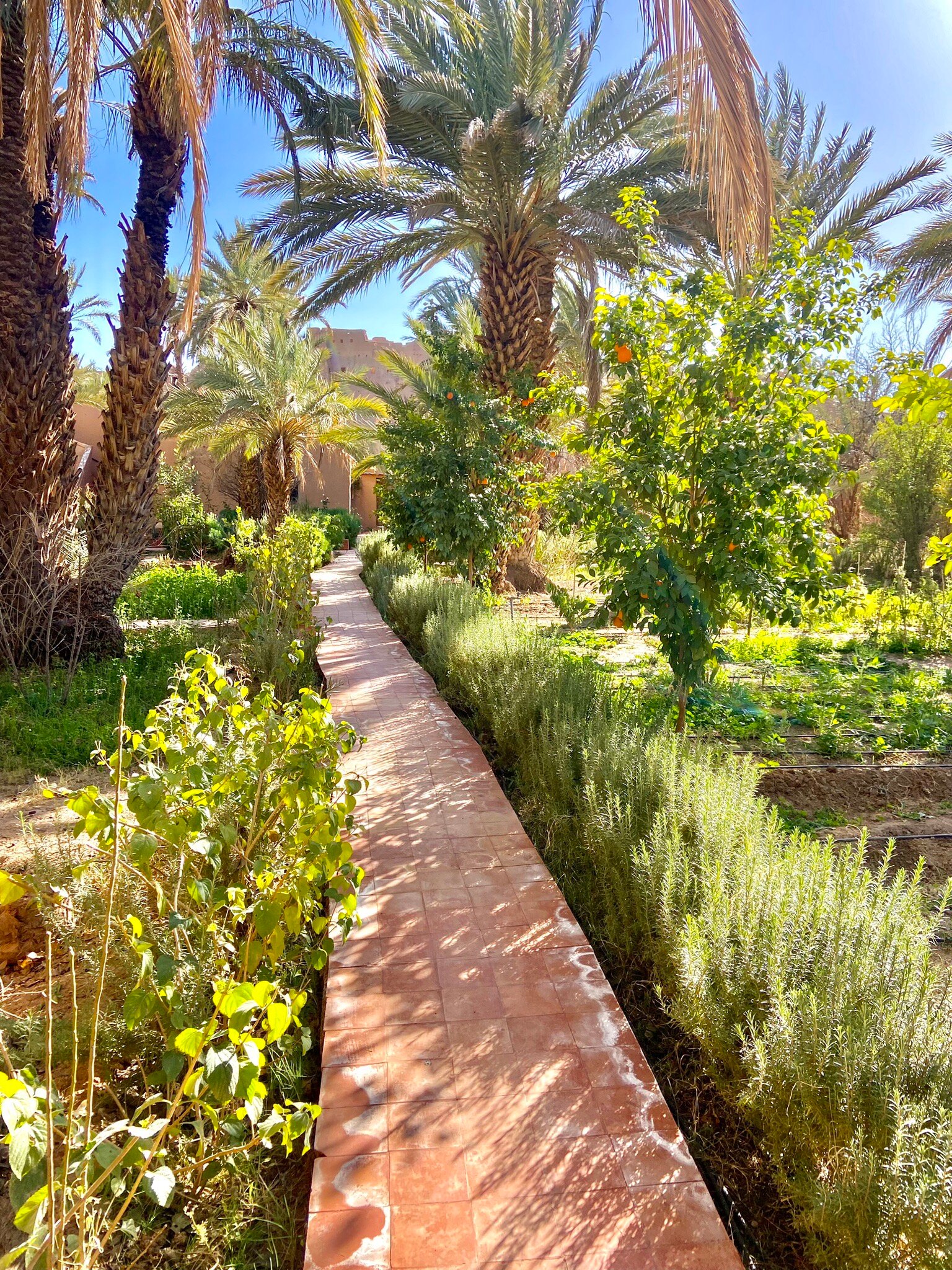 Chambres d'hotes Kasbah Azul-官方