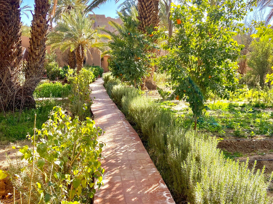 Chambres d'hotes Kasbah Azul主图