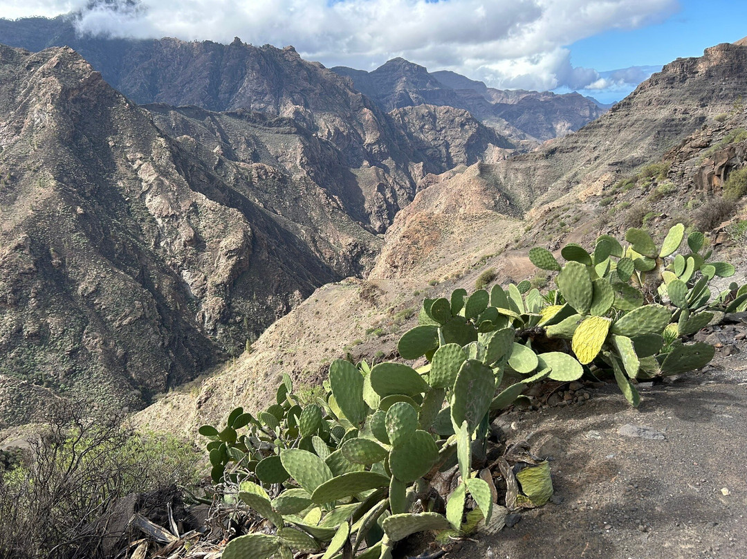 Pueblo de Tejeda景点图片