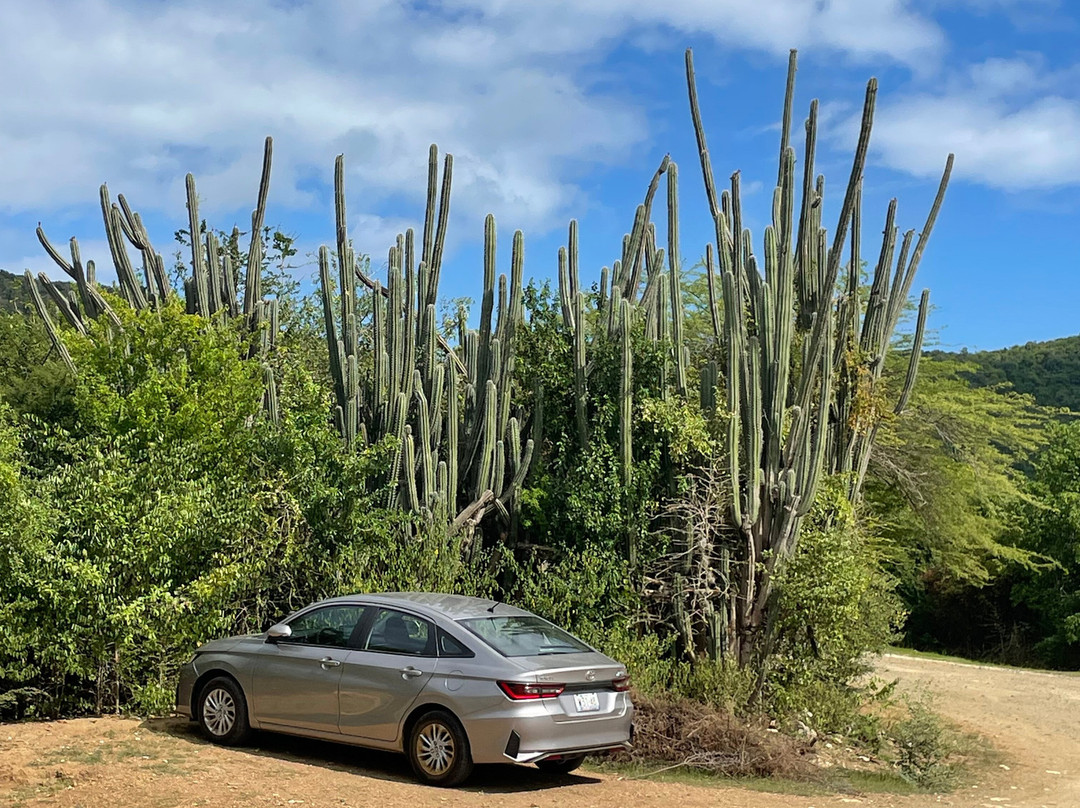 Playa Jeremi-威廉斯塔德必去景点
