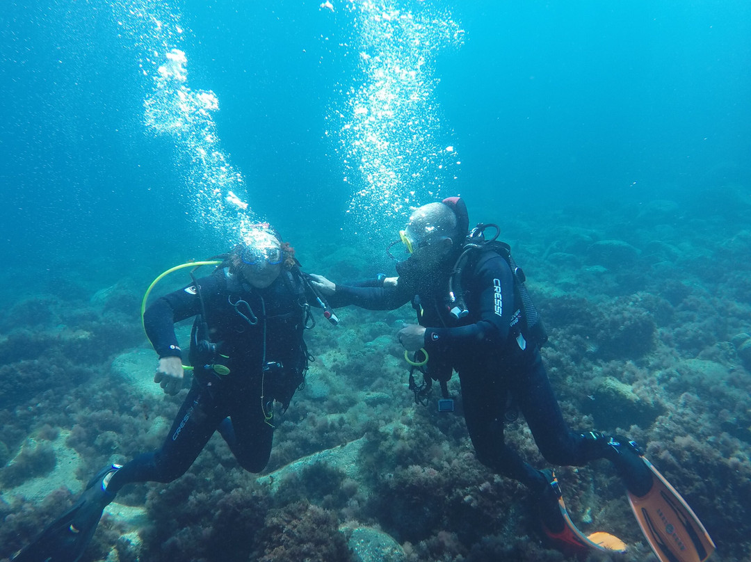 Native Diving Lanzarote-科斯塔特吉塞必去景点