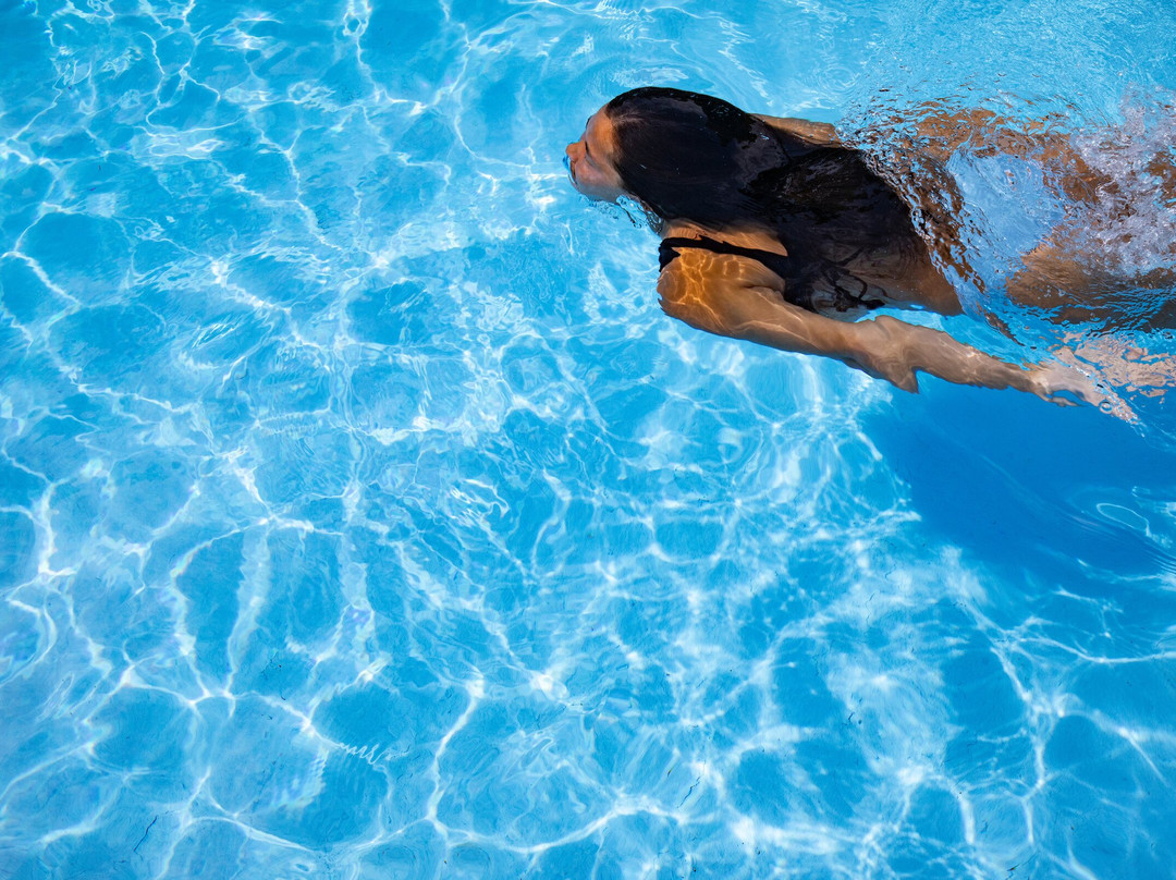 Sesuit Harbor House主图