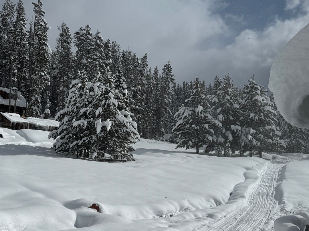 Burgdorf Hot Springs-McCall必去景点