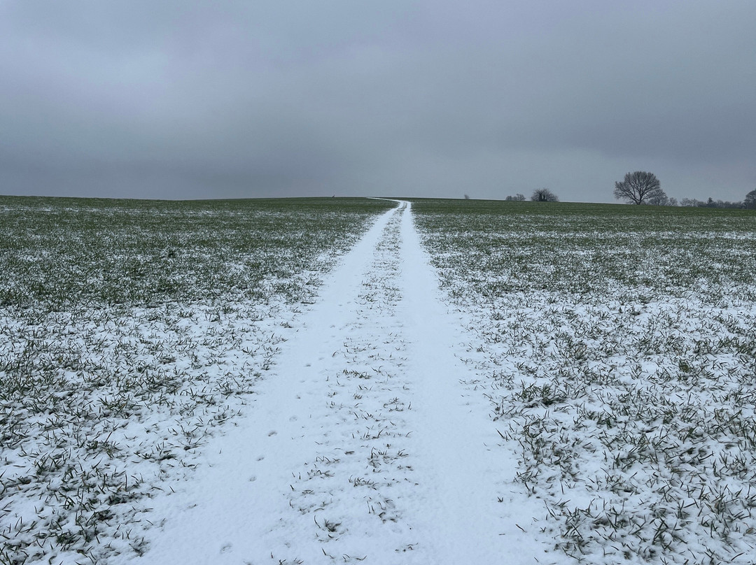 Hotel Ole Liese主图