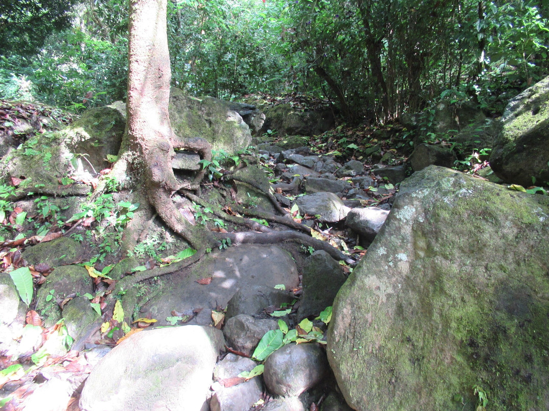 La Piedra Pintada景点图片