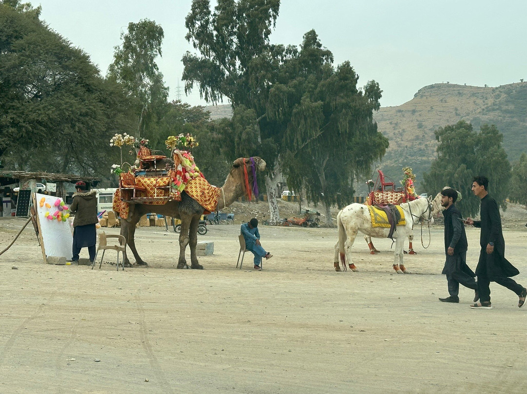 Khanpur Dam-Khanpur必去景点