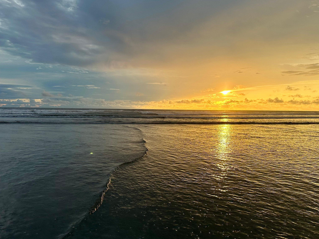 Palmetto Lodge主图