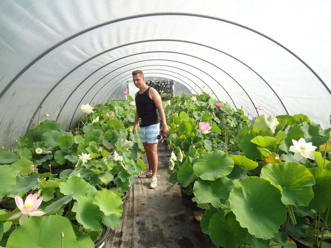 Seerosenfarm-Michendorf必去景点