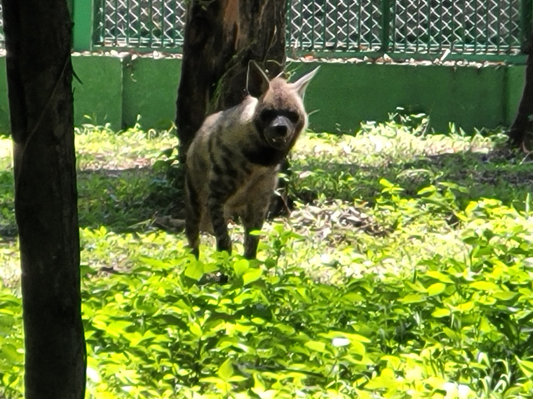 Rajiv Gandhi Zoological Park景点图片