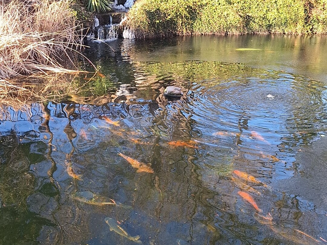 Sheraton Arlington Hotel主图