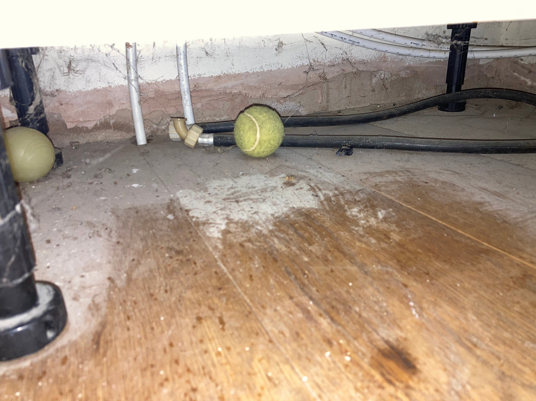 Tibbiwell Lodge主图