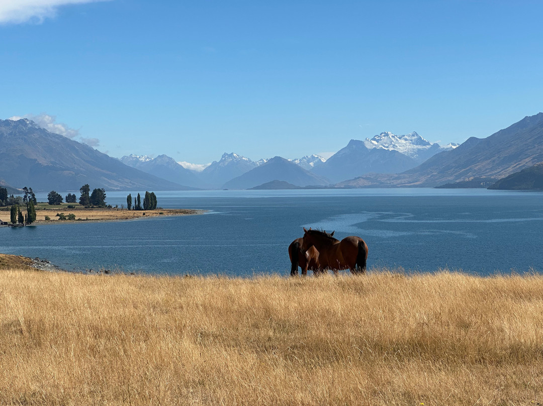 Bike Fiordland - Wild Rides-蒂阿瑙必去景点