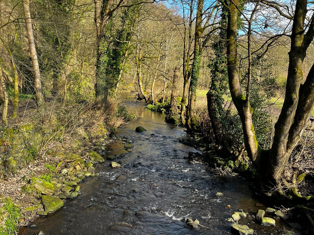 Rivelin Valley Nature Trail-谢菲尔德必去景点