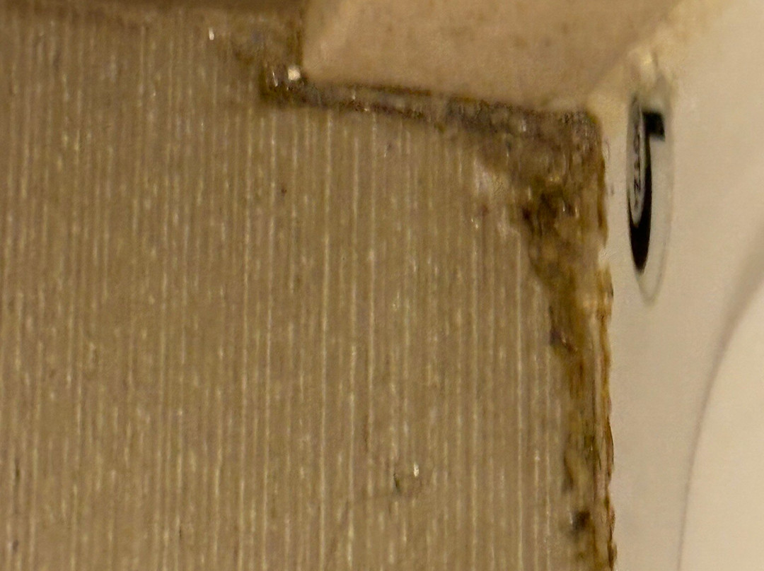 Comfort Suites主图