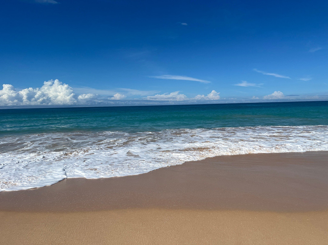 Beach Hotel Oasis Bridge主图