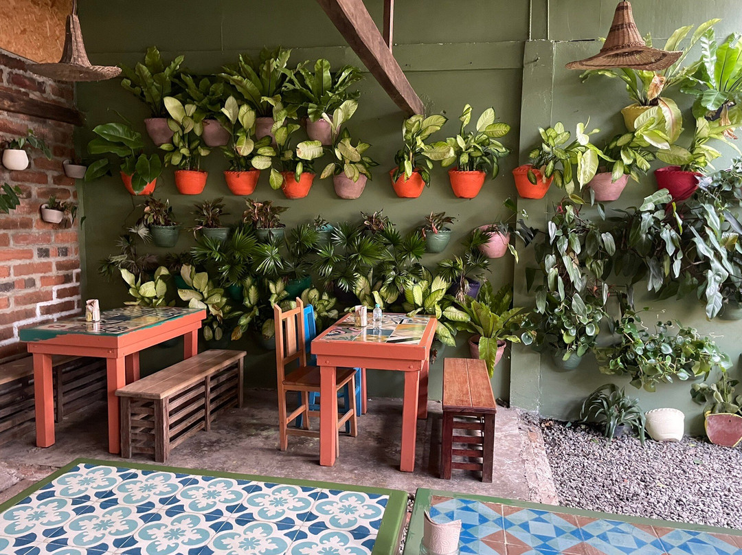 Hotel Plantación主图