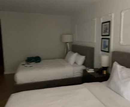 多伦多中心潘塔基斯酒店主图