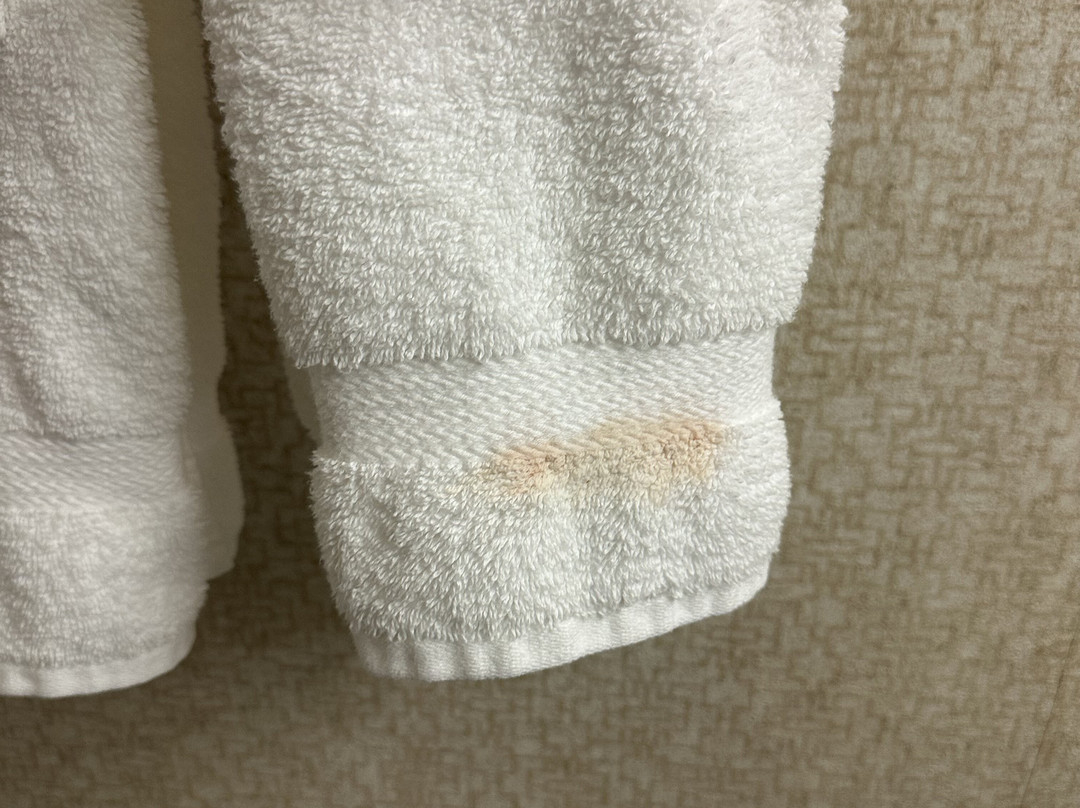 Wingate by Wyndham Gillette主图