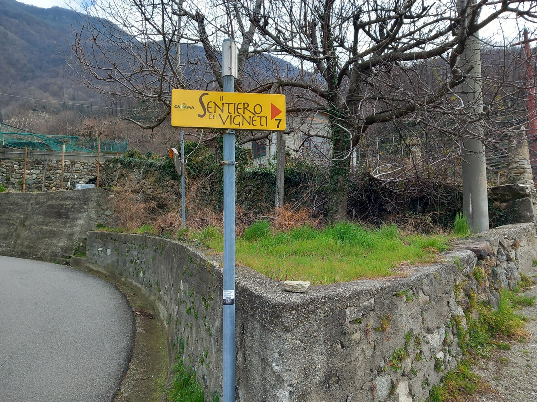 Sentiero dei Vigneti di Carema景点图片