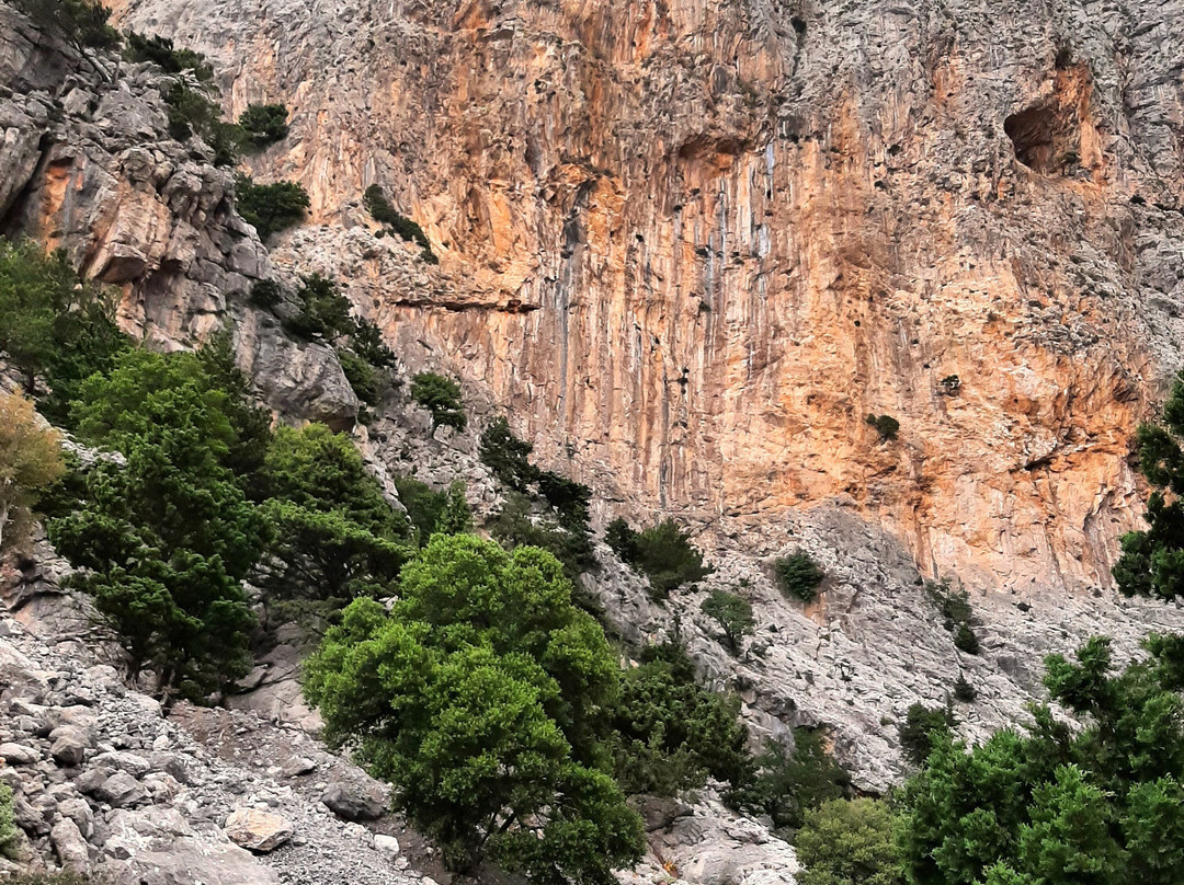 Rouvas Gorge (Agiou Nikolaou)-Zaros必去景点