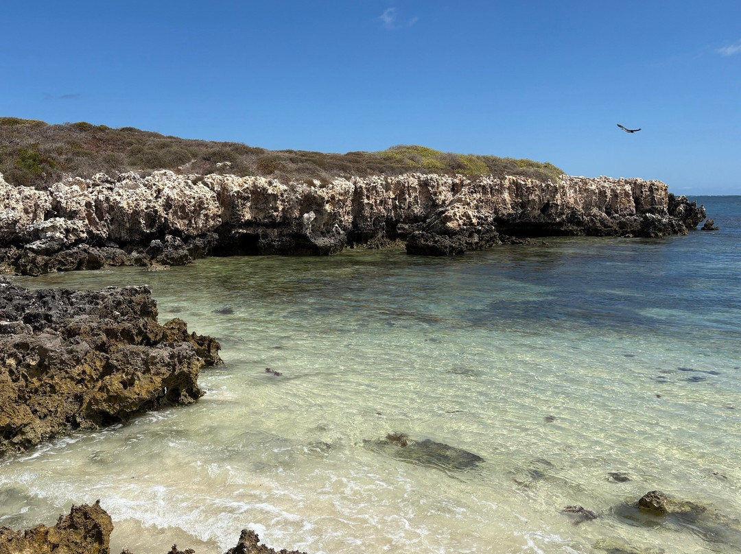 North Head-朱里恩湾必去景点