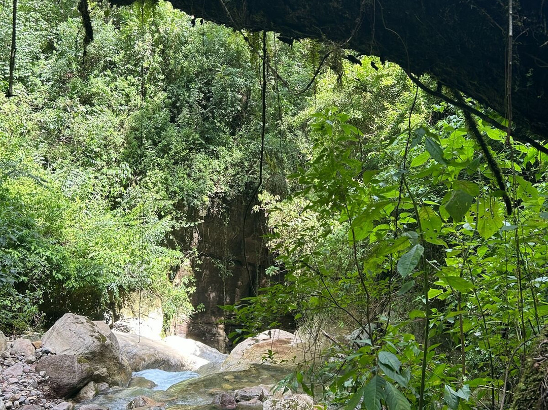 Paraíso De Las Yungas景点图片