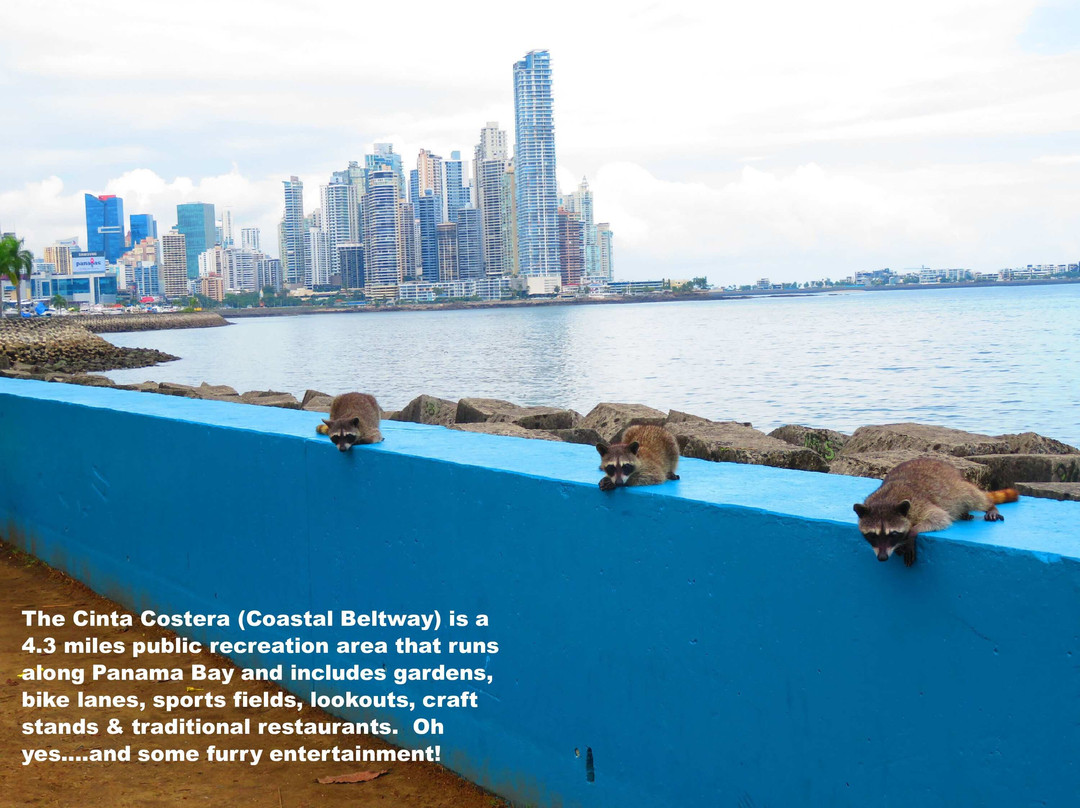 CAB Tours & Transfers-巴拿马城必去景点